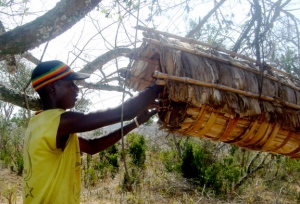 Deo Muangwa tends to homemade beehive